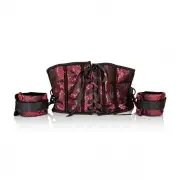 Боди, бюстье, корсеты красные