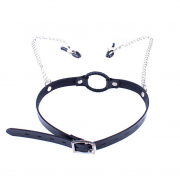 Кляпы, Ошейники