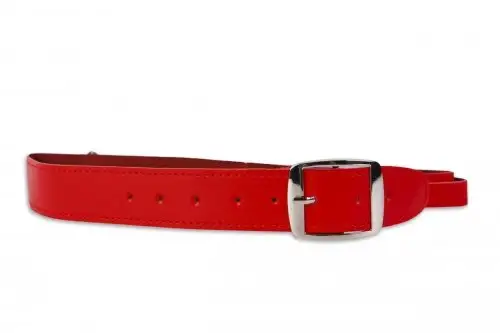 Красный Ошейник с поводком photo 1