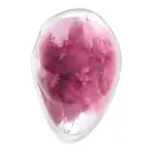 Вакуумный вибратор Satisfyer Cloud Dancer (Red) photo 3