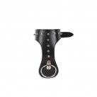 Фигурный ошейник с заклепками и кольцом photo 1