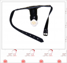 Кляп с фаллоимитатором photo 1