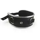 Ошейник из натуральной кожи со стразами и кольцом Art of Sex -  Collar Ring photo 3