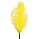 Щекоталка со страусиным пером Art of Sex - Feather Tickler, цвет Желтый photo 3