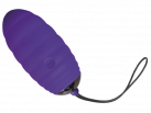 Виброяйцо Adrien Lastic Ocean Breeze Purple photo 1